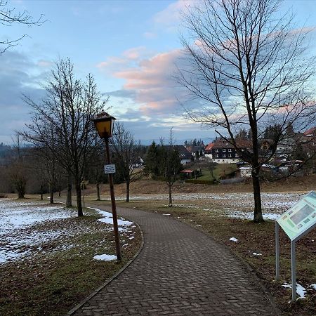 Gemütliche Ferienwohnung Harz Braunlage Hohegeiß Exterior foto