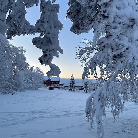 Gemütliche Ferienwohnung Harz Braunlage Hohegeiß Exterior foto