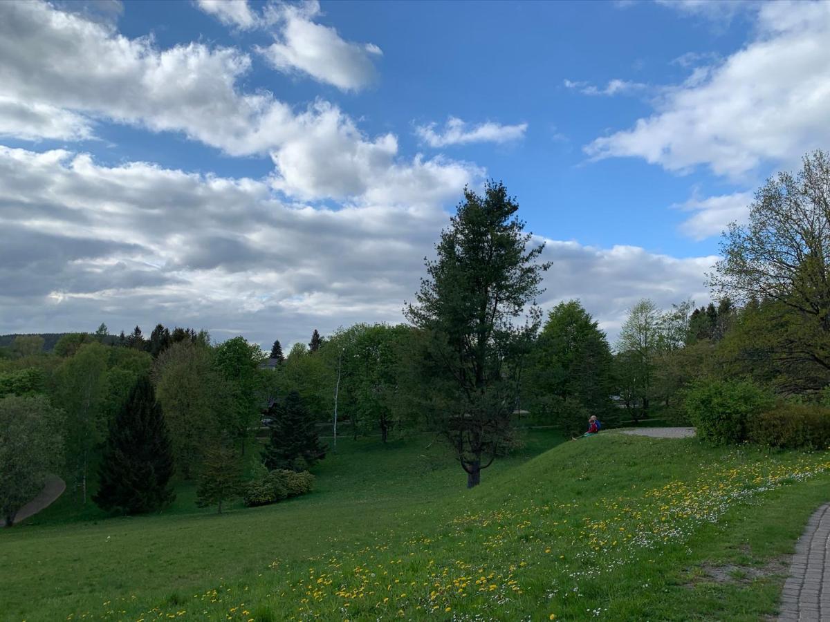 Gemütliche Ferienwohnung Harz Braunlage Hohegeiß Exterior foto