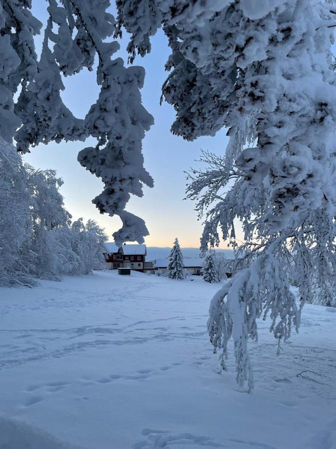 Gemütliche Ferienwohnung Harz Braunlage Hohegeiß Exterior foto